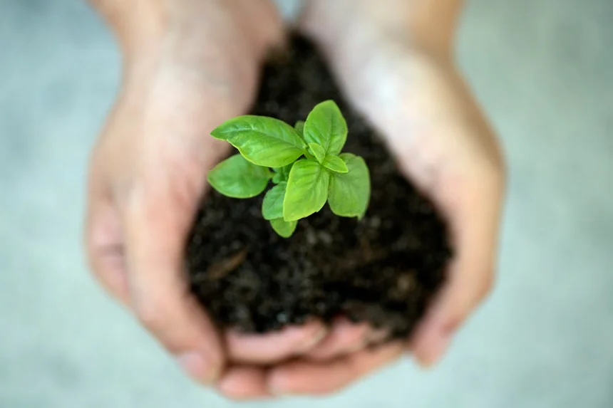 Sustainability